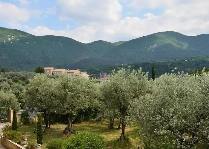La Picholine En Provence