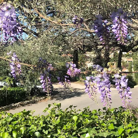 La Picholine En Provence Hotel
