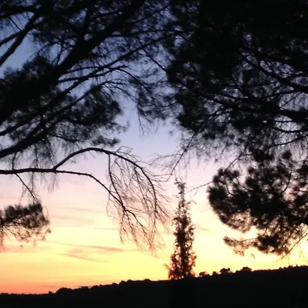 La Picholine En Provence 3* Nyons