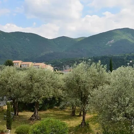 La Picholine En Provence